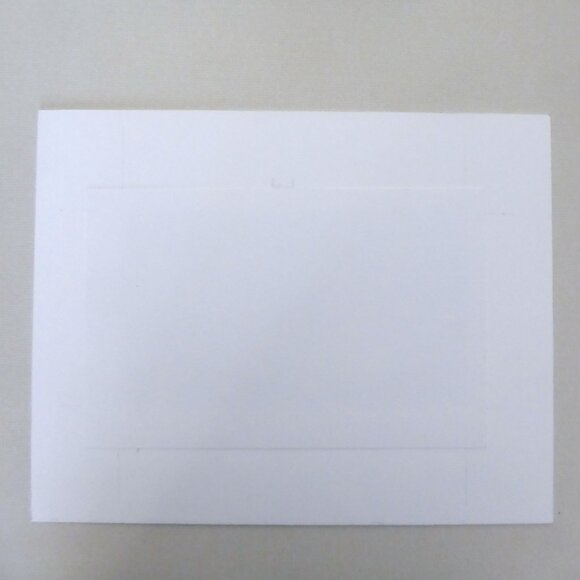 “RECOIL” LONE WOLF IN FOREST OF TREES FRAMED ARTIST PROOF SIGNED ART PRINT - Picture 9 of 9